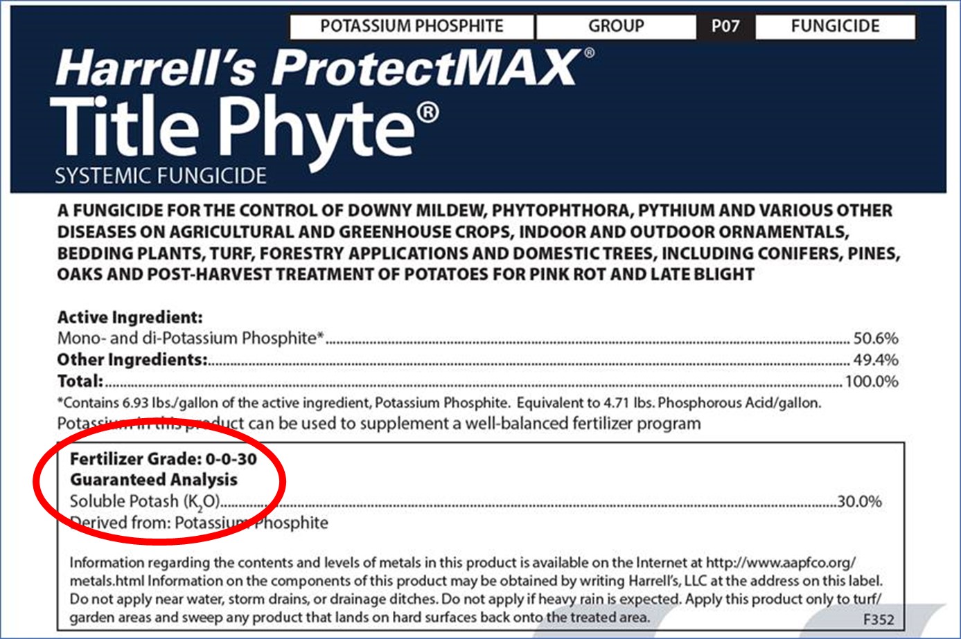 Title Phyte SF label